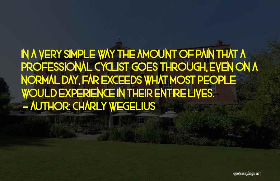 Through The Pain Quotes By Charly Wegelius