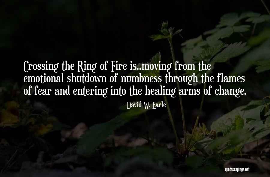 Through The Pain Quotes By David W. Earle Through The Pain Quotes By David W. Earle