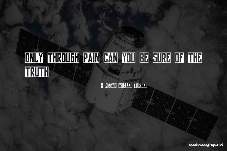 Through The Pain Quotes By Megan Whalen Turner Through The Pain Quotes By Megan Whalen Turner