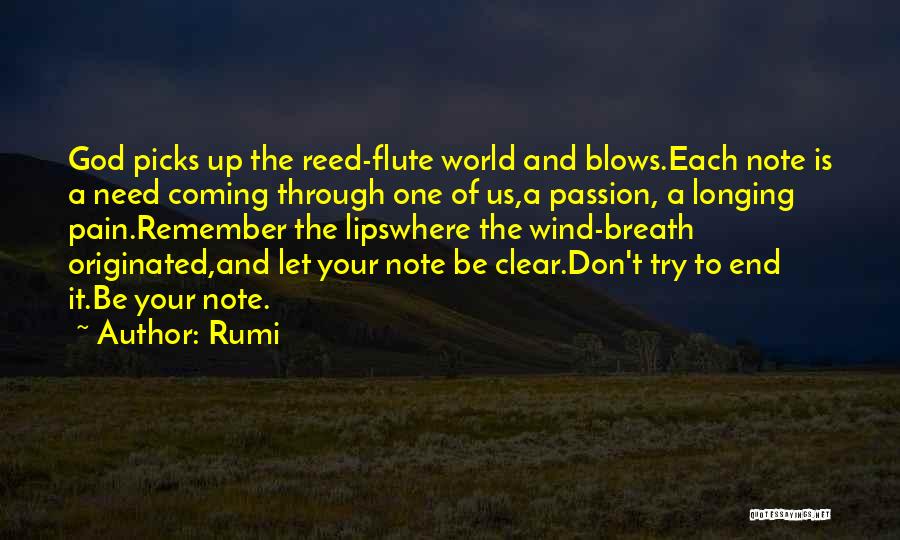 Through The Pain Quotes By Rumi