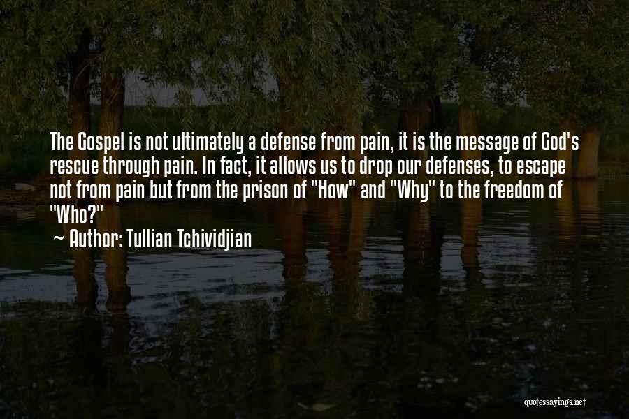 Through The Pain Quotes By Tullian Tchividjian