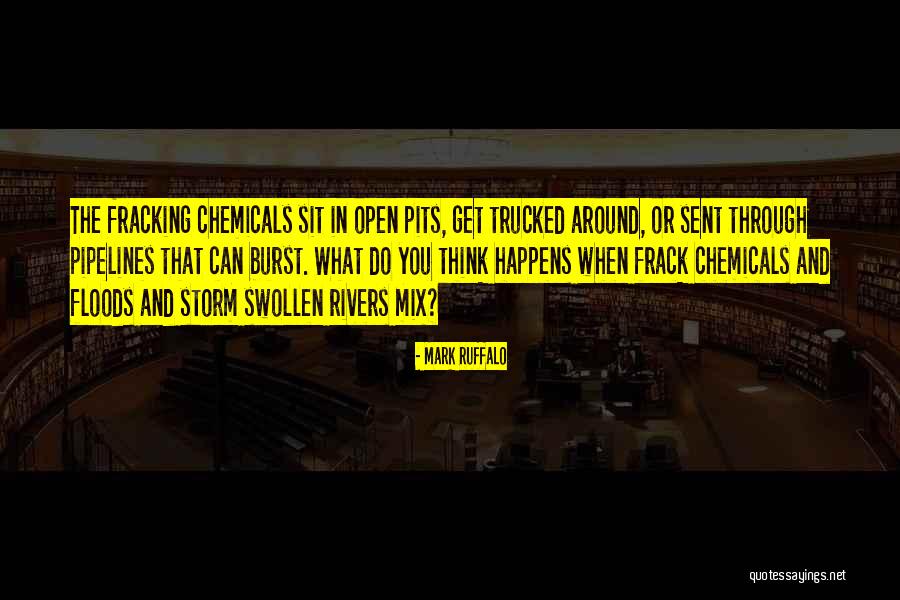 Through The Storm Quotes By Mark Ruffalo Through The Storm Quotes By Mark Ruffalo