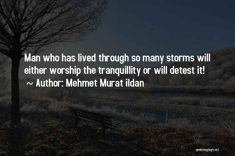 Through The Storms Quotes By Mehmet Murat Ildan