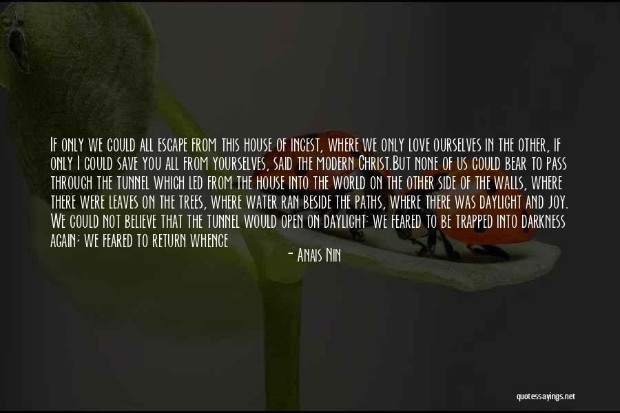 Through The Tunnel Quotes By Anais Nin Through The Tunnel Quotes By Anais Nin