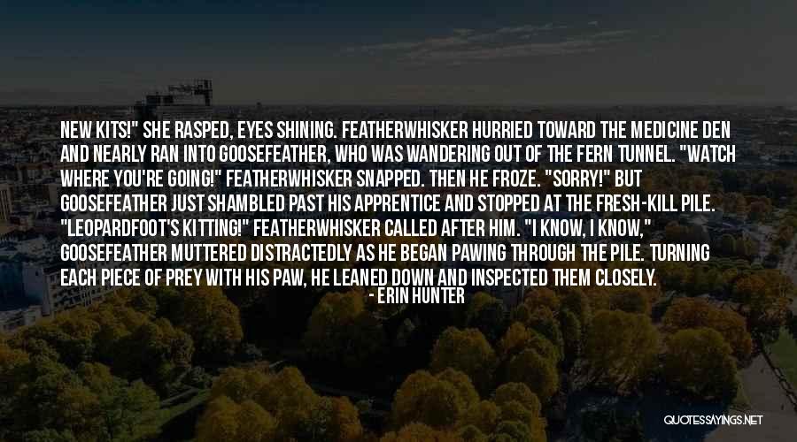 Through The Tunnel Quotes By Erin Hunter Through The Tunnel Quotes By Erin Hunter
