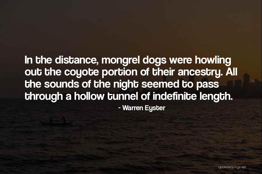 Through The Tunnel Quotes By Warren Eyster Through The Tunnel Quotes By Warren Eyster