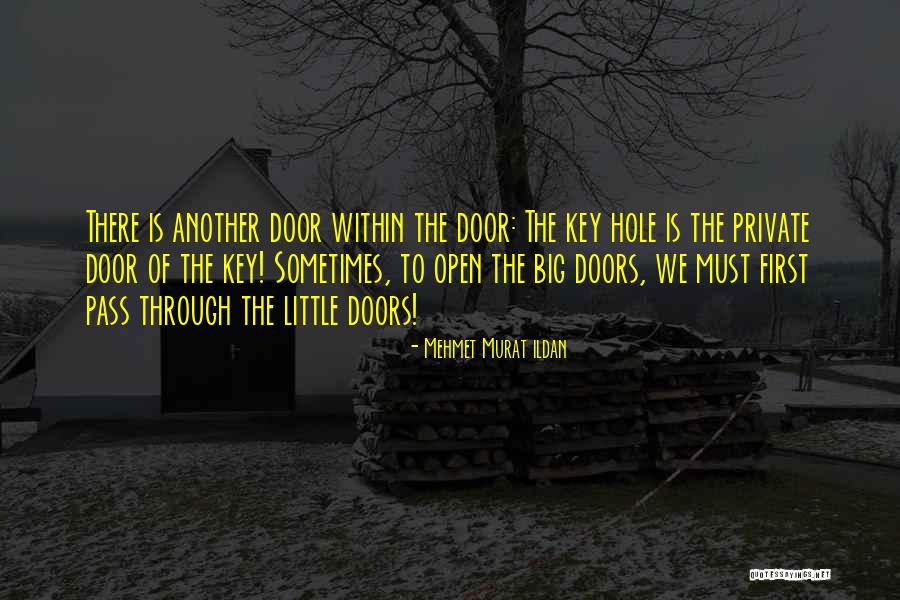 Through These Doors Pass Quotes By Mehmet Murat Ildan