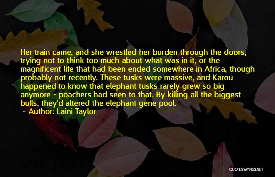 Through These Doors Quotes By Laini Taylor