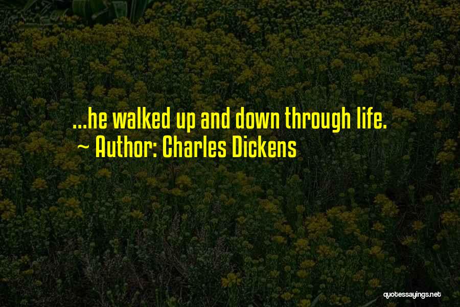 Through Up And Down Quotes By Charles Dickens