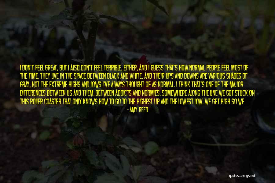Through Ups And Downs Quotes By Amy Reed Through Ups And Downs Quotes By Amy Reed