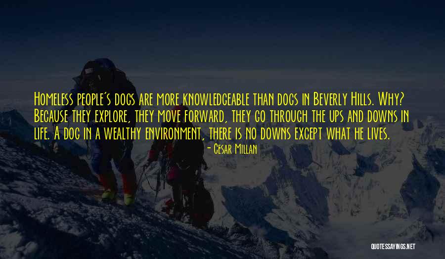 Through Ups And Downs Quotes By Cesar Millan Through Ups And Downs Quotes By Cesar Millan