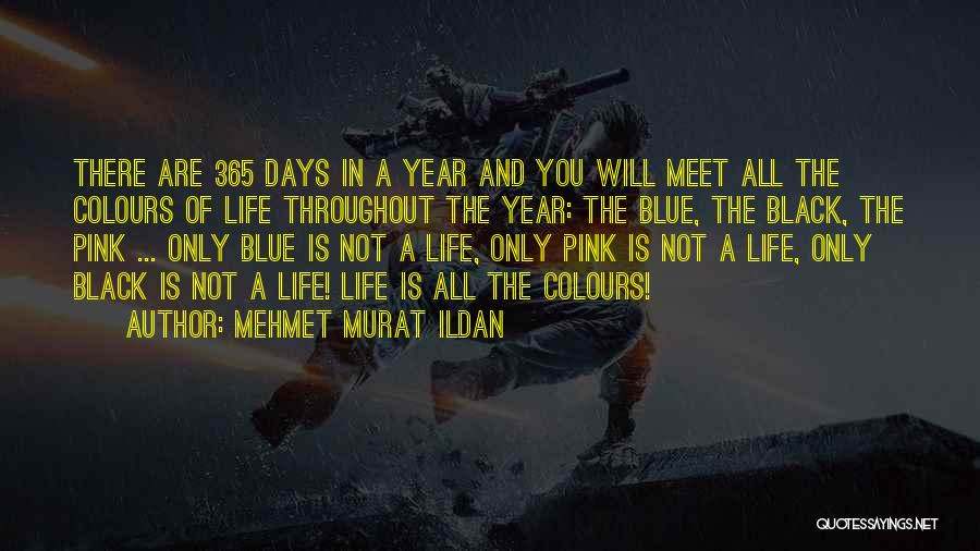 Throughout The Year Quotes By Mehmet Murat Ildan