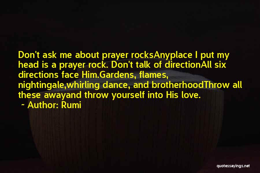 Throw A Rock Quotes By Rumi