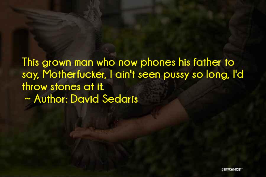 Throw Stones Quotes By David Sedaris