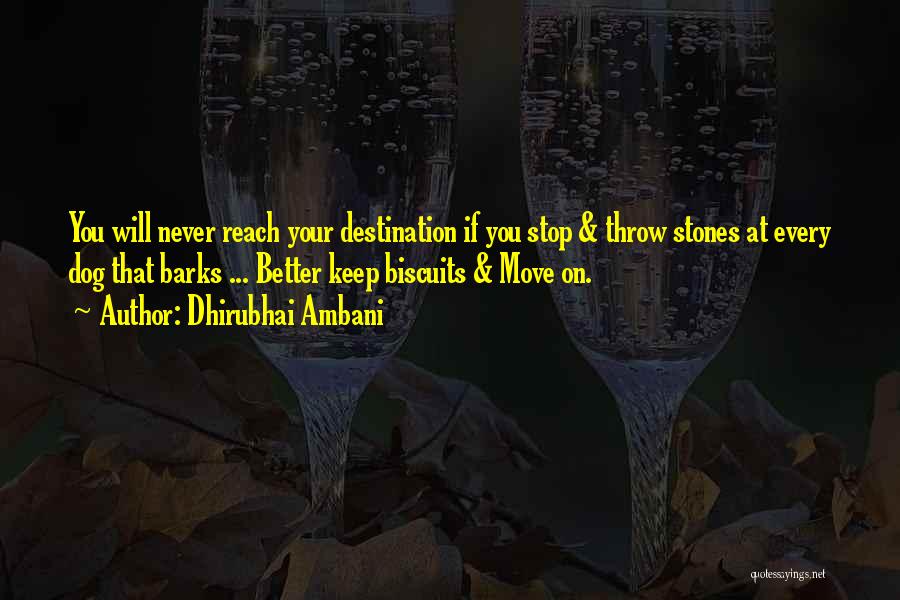 Throw Stones Quotes By Dhirubhai Ambani