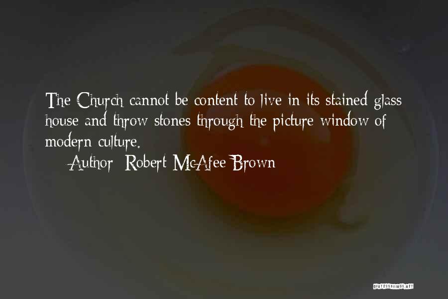 Throw Stones Quotes By Robert McAfee Brown