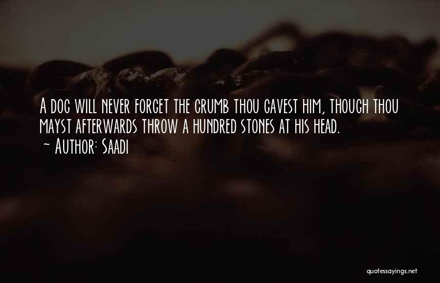 Throw Stones Quotes By Saadi