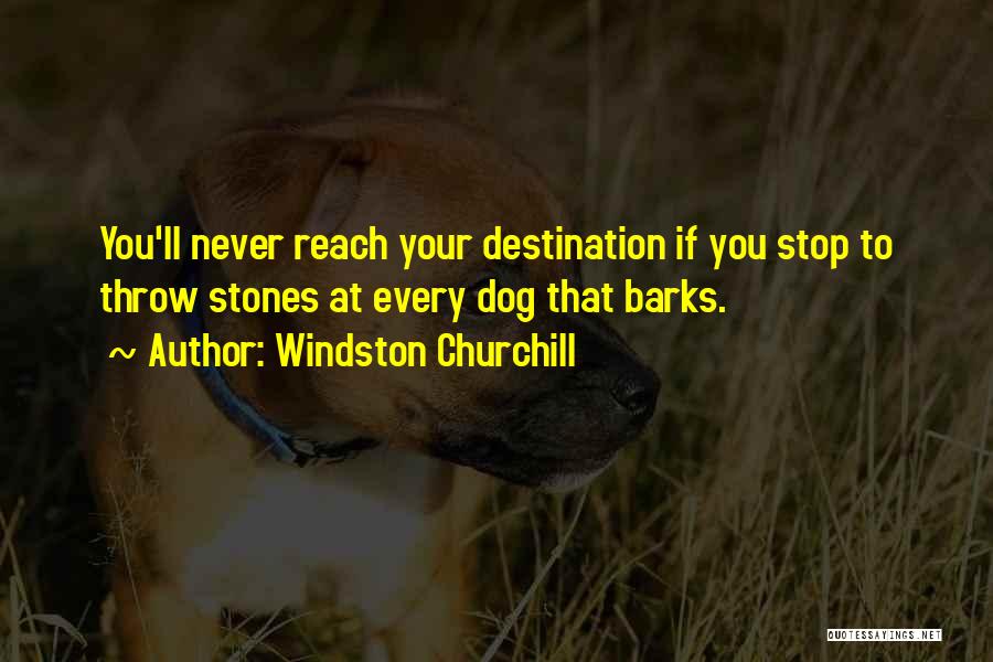 Throw Stones Quotes By Windston Churchill