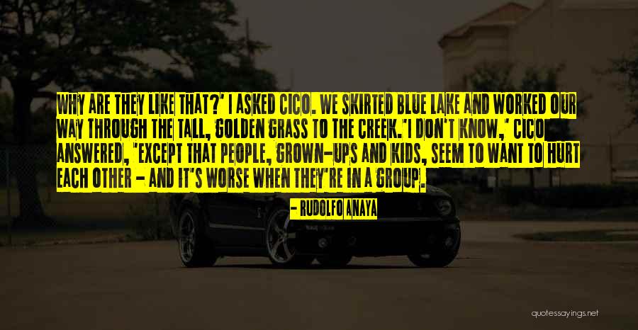 Throwed Away Quotes By Rudolfo Anaya Throwed Away Quotes By Rudolfo Anaya
