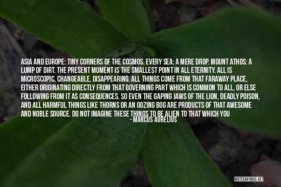 Throwing A Curveball Quotes By Marcus Aurelius Throwing A Curveball Quotes By Marcus Aurelius