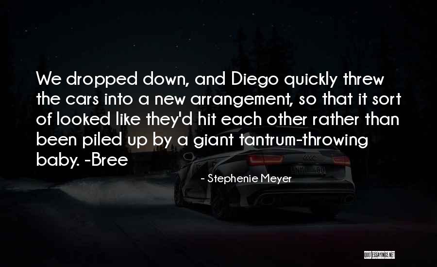 Throwing A Tantrum Quotes By Stephenie Meyer