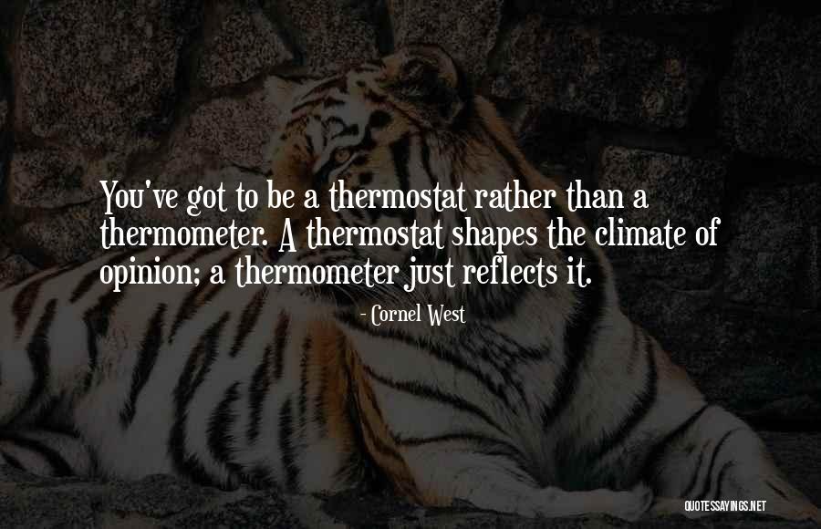 Throwing Trash Quotes By Cornel West Throwing Trash Quotes By Cornel West