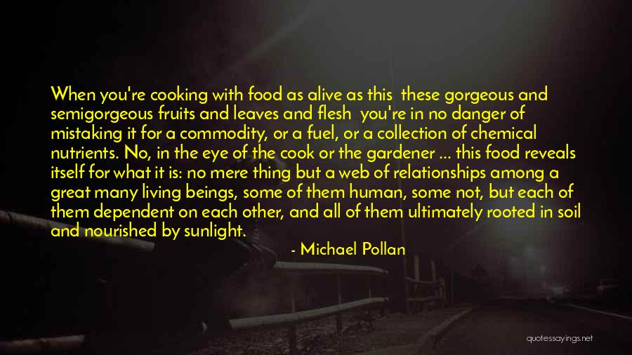 Thrushes Birds Quotes By Michael Pollan Thrushes Birds Quotes By Michael Pollan