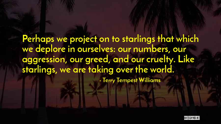 Thrusts And Glute Quotes By Terry Tempest Williams Thrusts And Glute Quotes By Terry Tempest Williams
