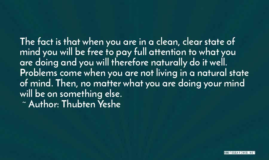 Thubten Yeshe Quotes 1150134