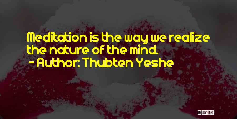 Thubten Yeshe Quotes 1574025