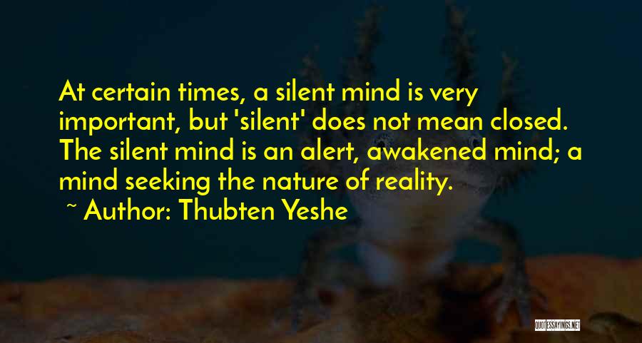 Thubten Yeshe Quotes 1661261