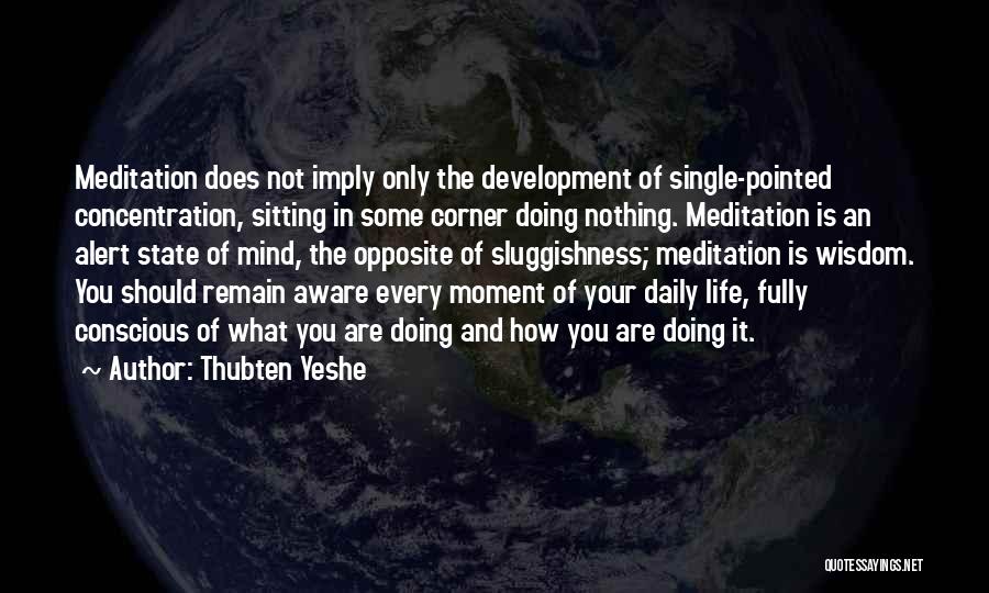 Thubten Yeshe Quotes 1699588