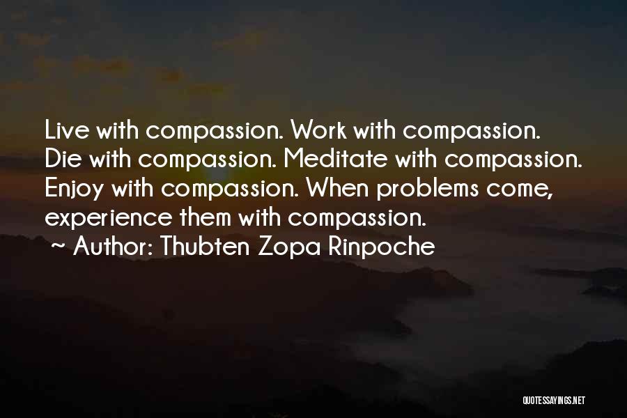 Thubten Zopa Rinpoche Quotes 1000806