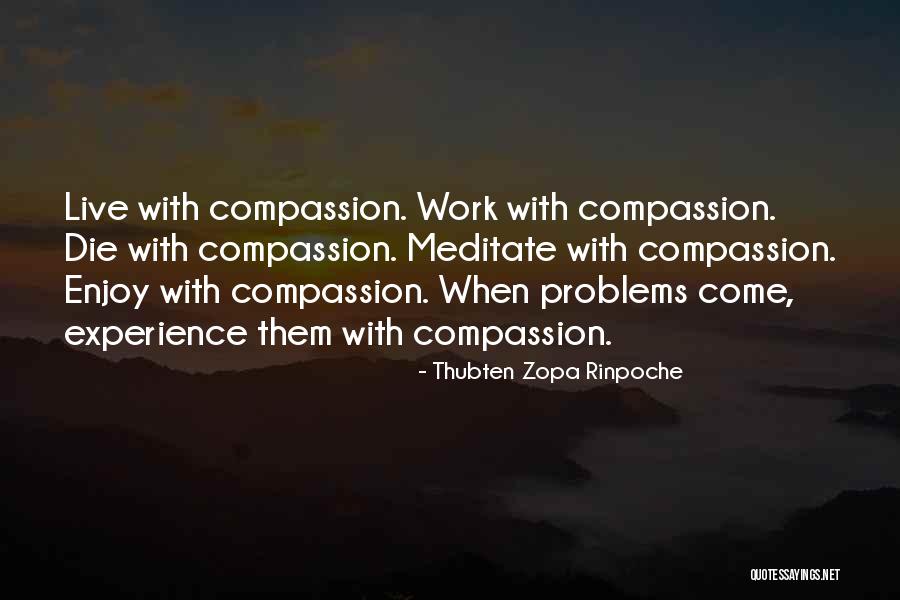 Thubten Zopa Rinpoche Quotes 1000806