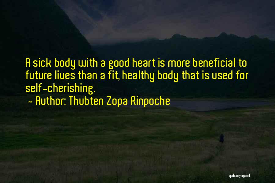 Thubten Zopa Rinpoche Quotes 449635