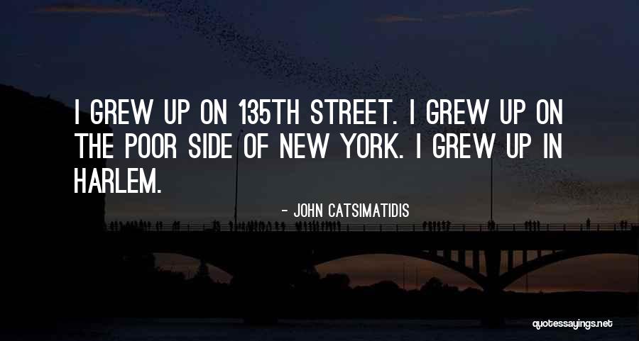 Thumbless Boxing Quotes By John Catsimatidis