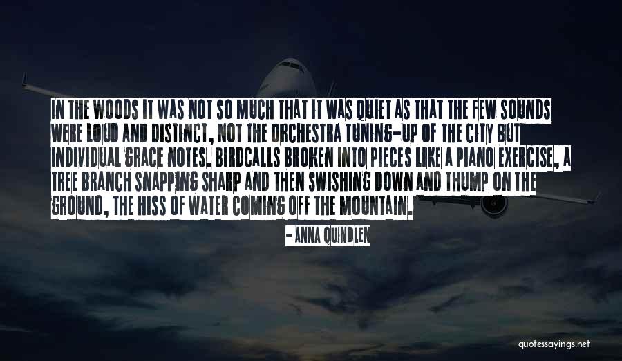 Thump Quotes By Anna Quindlen Thump Quotes By Anna Quindlen