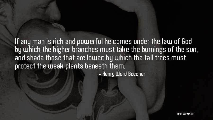 Thumper Cam Quotes By Henry Ward Beecher Thumper Cam Quotes By Henry Ward Beecher