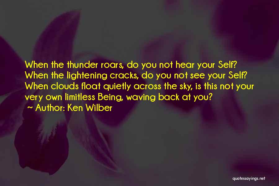Thunder Clouds Quotes By Ken Wilber