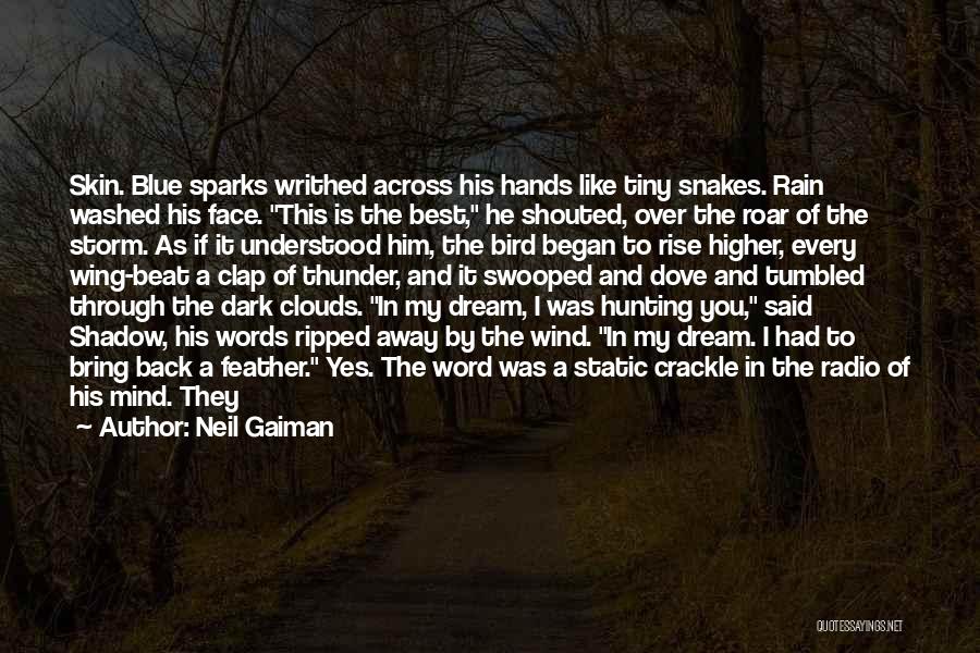 Thunder Clouds Quotes By Neil Gaiman
