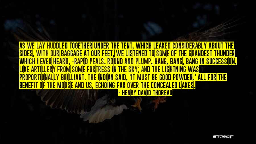 Thunder Lightning Quotes By Henry David Thoreau