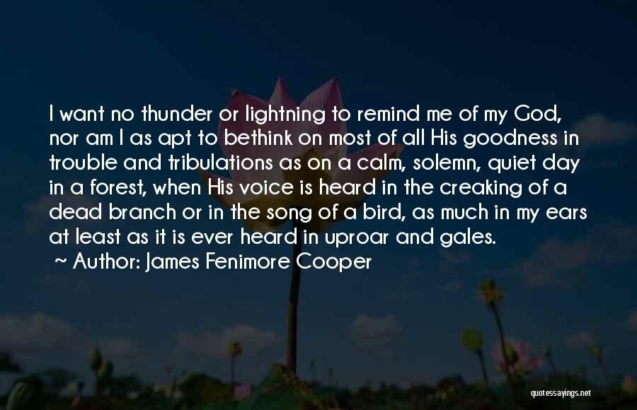 Thunder Lightning Quotes By James Fenimore Cooper