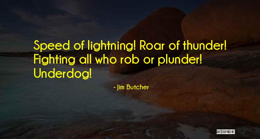 Thunder Lightning Quotes By Jim Butcher