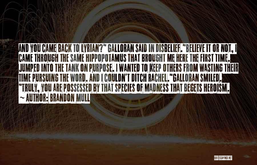 Thunderbolt Kid Quotes By Brandon Mull