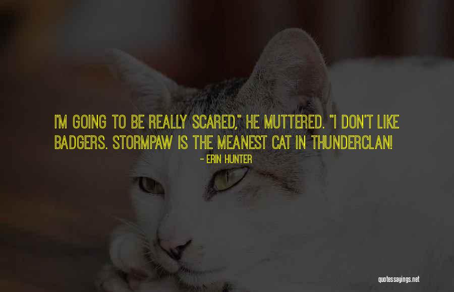 Thunderclan Quotes By Erin Hunter