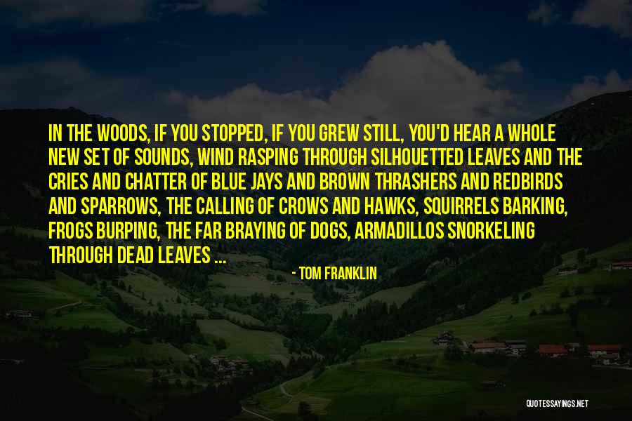 Thunderclap And Flash Quotes By Tom Franklin Thunderclap And Flash Quotes By Tom Franklin