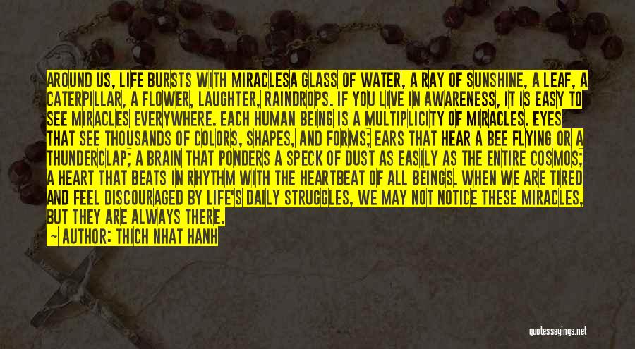 Thunderclap Quotes By Thich Nhat Hanh