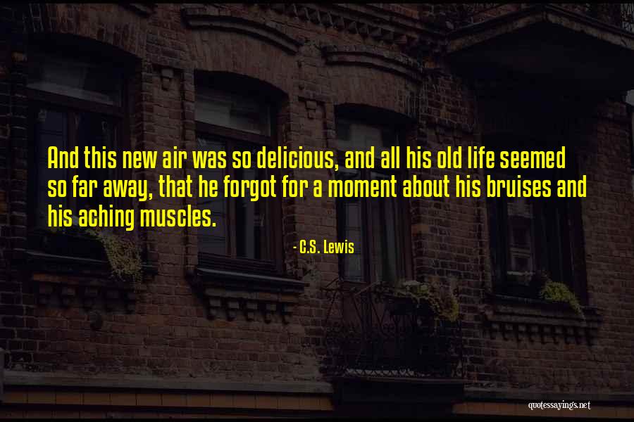 Thunderclouds Music Video Quotes By C.S. Lewis Thunderclouds Music Video Quotes By C.S. Lewis