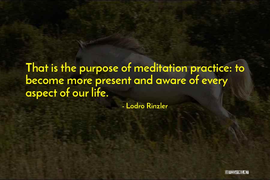 Thunderheads Band Quotes By Lodro Rinzler Thunderheads Band Quotes By Lodro Rinzler
