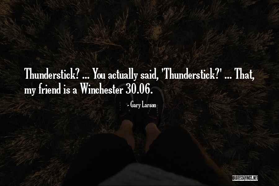 Thunderstick Quotes By Gary Larson Thunderstick Quotes By Gary Larson